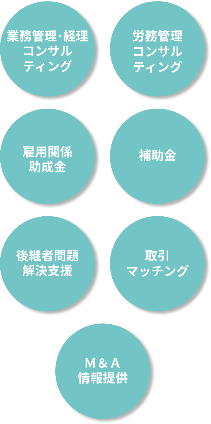 業務管理・経理コンサルティング、労務管理コンサルティング、雇用関係助成金、補助金、後継者問題解決支援、取引マッチング、M&A情報提供